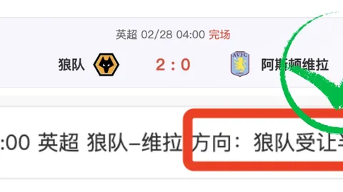 圣保罗VS弗拉门戈巅峰对决：深度解析，不容错过的精彩解读！